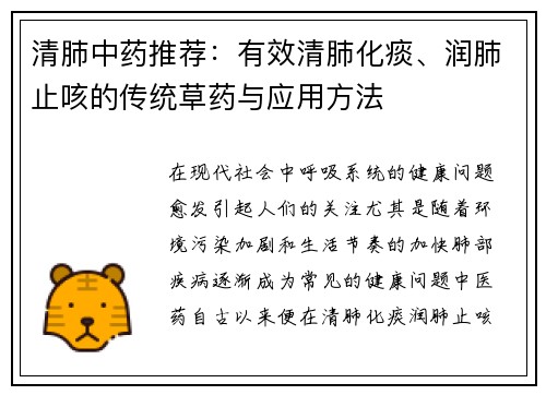 清肺中药推荐：有效清肺化痰、润肺止咳的传统草药与应用方法